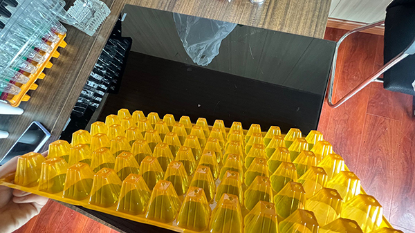 小蝌蚪视频污育苗穴盘